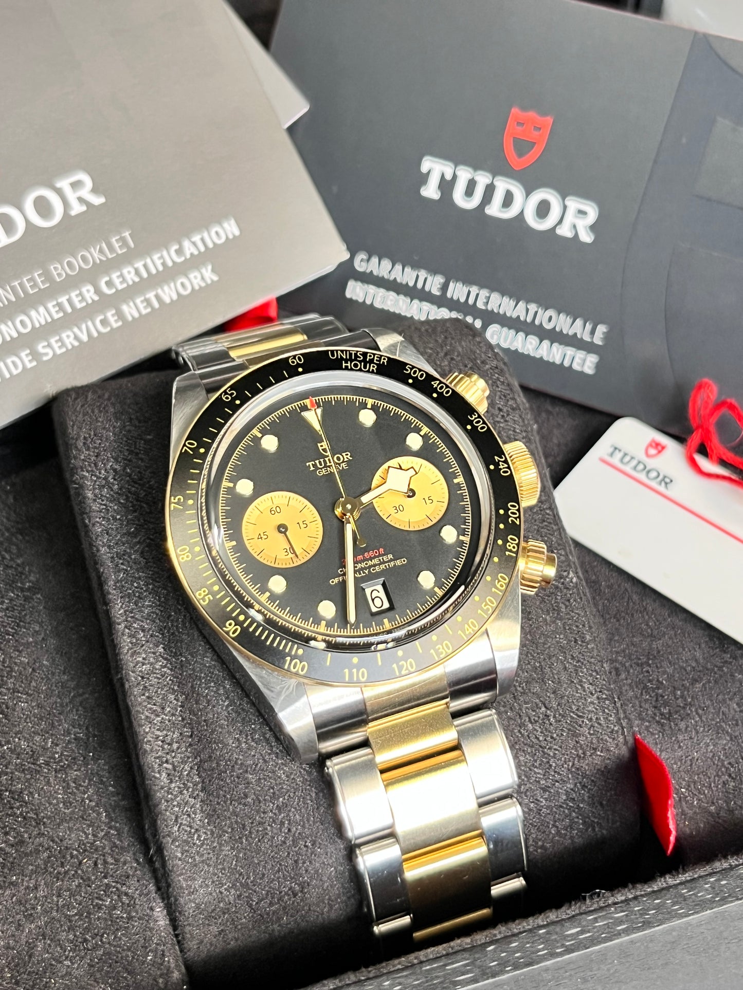 2024 Tudor Steel & Gold