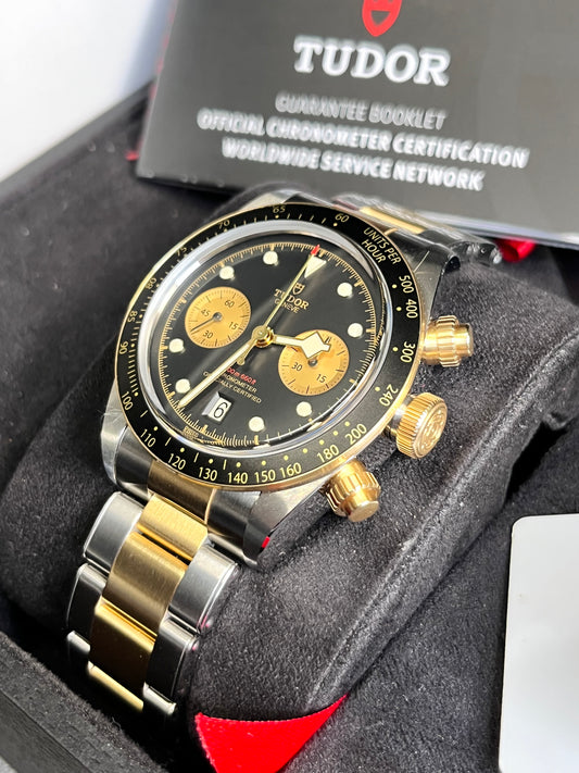 2024 Tudor Steel & Gold