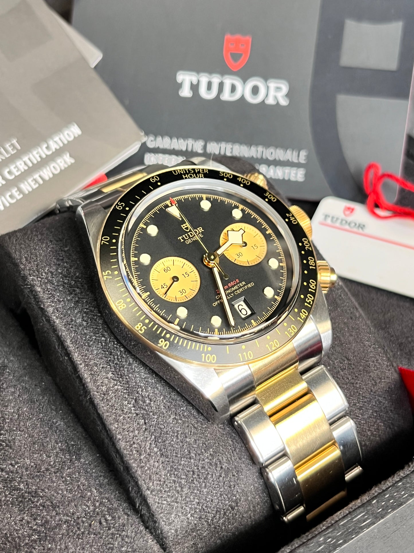 2024 Tudor Steel & Gold